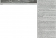 Article Gold Star Daily - 30.04.2014