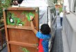 Le Livre de la Jungle en Inde - Août 2015