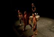 Le Livre de la Jungle au Théâtre du Gymnase Marie-Bell - Saison 2014/2015