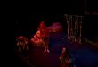 Le Livre de la Jungle au Théâtre du Gymnase Marie-Bell - Saison 2014/2015