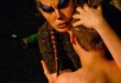 Le Livre de la Jungle au Théâtre du Gymnase Marie-Bell - Saison 2014/2015