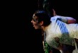 Le Livre de la Jungle au Théâtre du Gymnase Marie-Bell - Saison 2014/2015